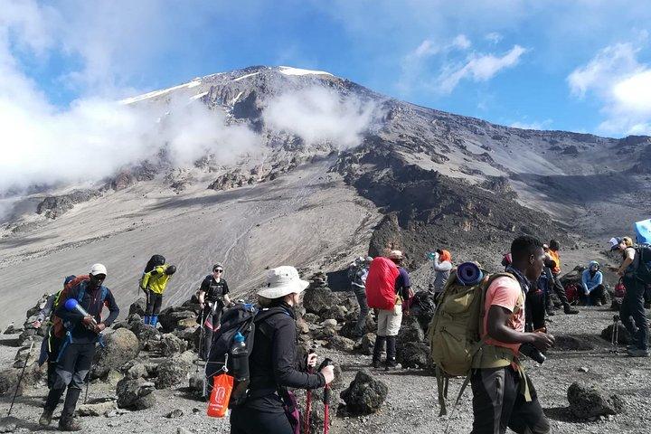 Best Kilimanjaro Adventure 7 days Machame route Trekking