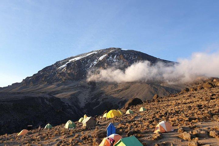Best Kilimanjaro Adventure 7 days Machame route Trekking