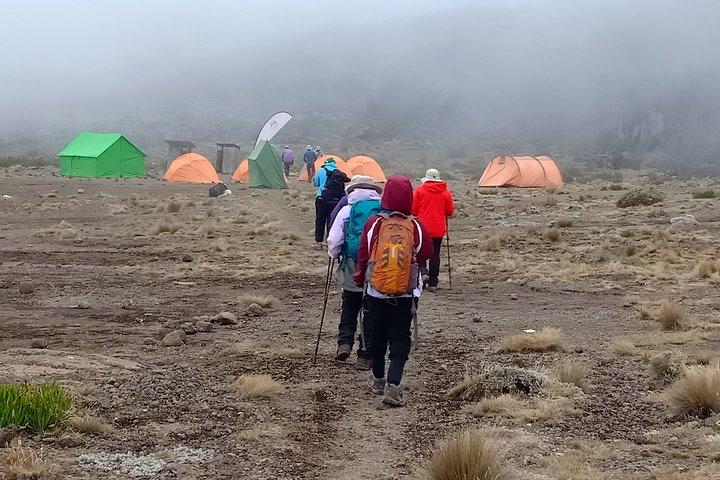 Best Kilimanjaro Adventure 7 days Machame route Trekking