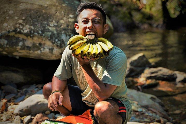 Monkey Business 2 days - 1 night Jungle Trekking In Bukit Lawang