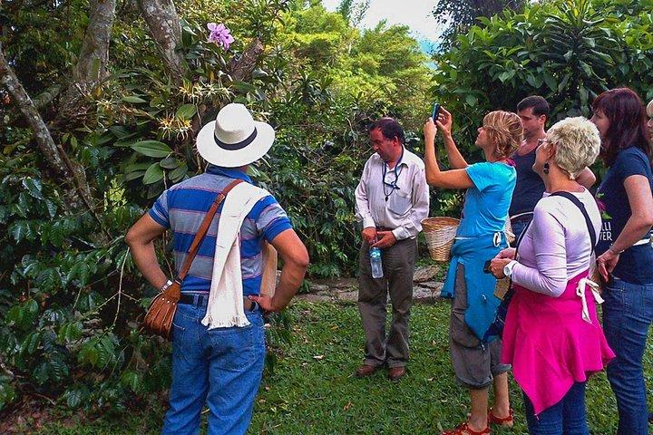 Coffee Plantation Tour From Bogota