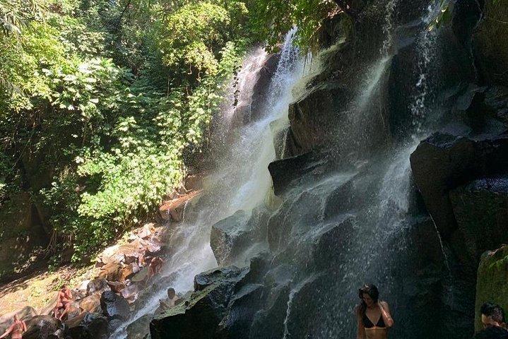 Individual Bali Day Trip with Private Driver and Free WiFi