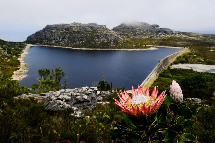 Table Mountain Summit Hike via Kasteelspoort