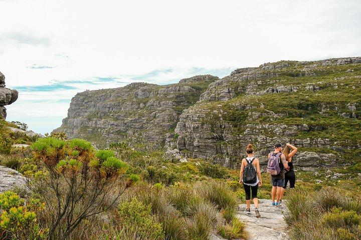 Table Mountain Summit Hike via Kasteelspoort