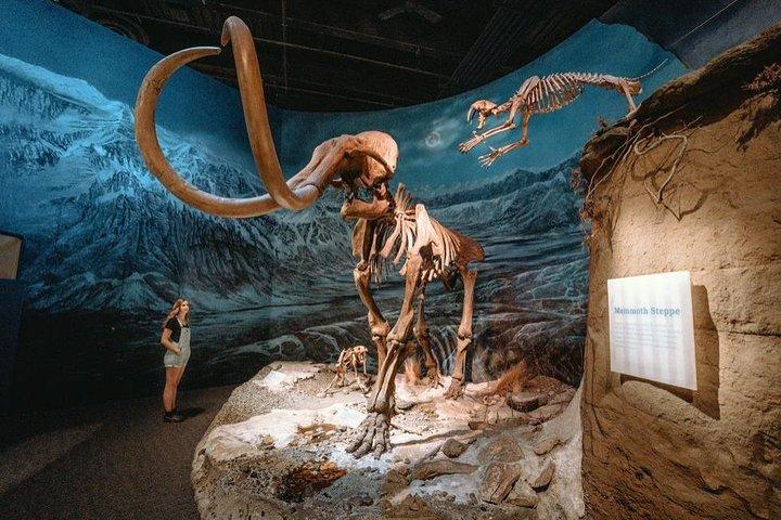 Drumheller Day: Royal Tyrrell Museum, Hoodoos & Horseshoe Canyon