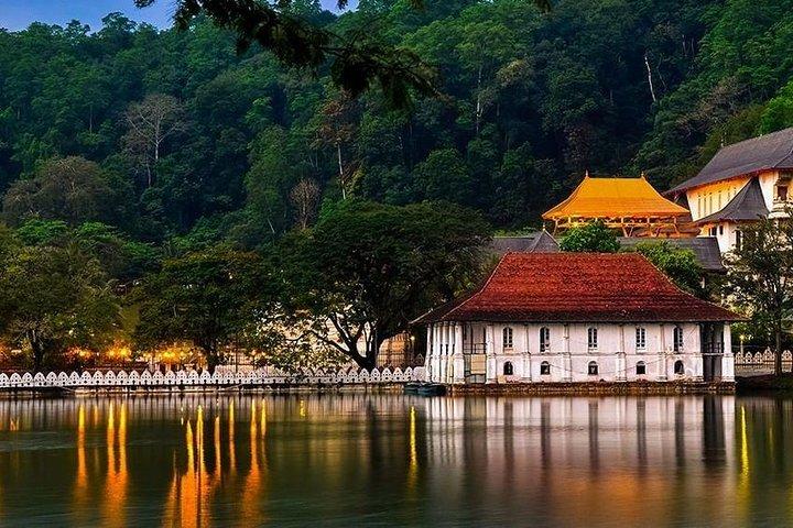 8 Days Private Tour of Sri Lanka from Colombo