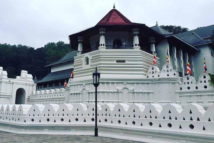 8 Days Private Tour of Sri Lanka from Colombo