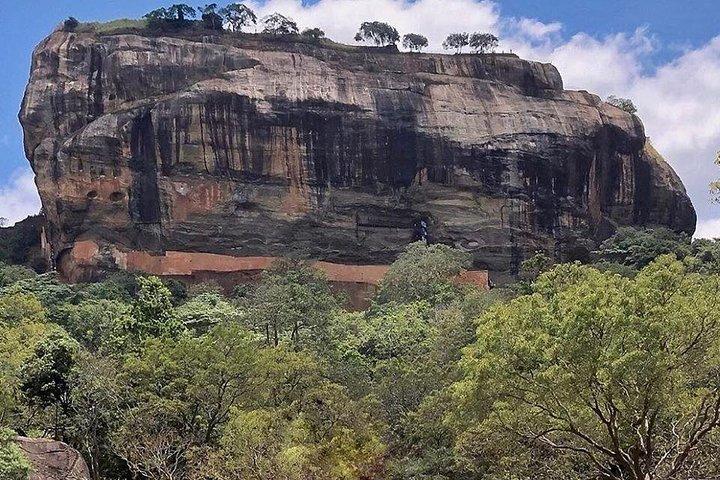 8 Days Private Tour of Sri Lanka from Colombo
