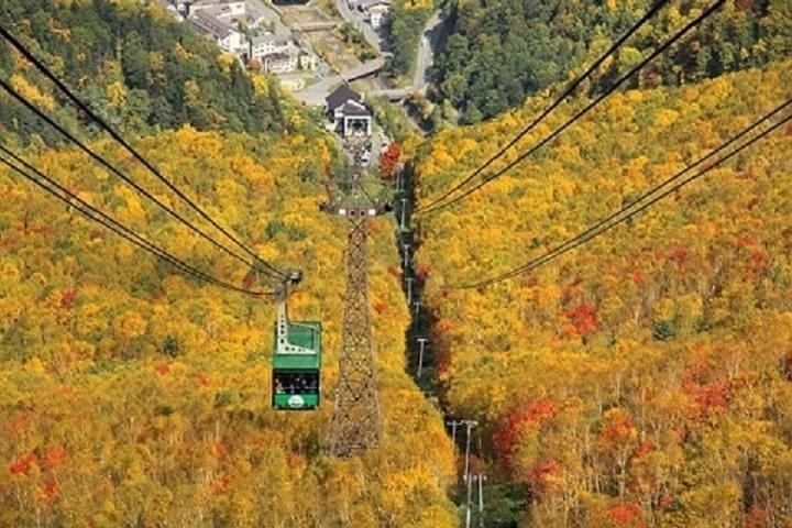 Daisetsuzan National Park and Kurodake Ropeway Autumn Tour