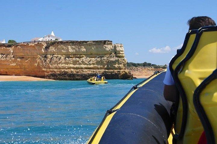 Caves and Dolphin Watching Cruise from Albufeira