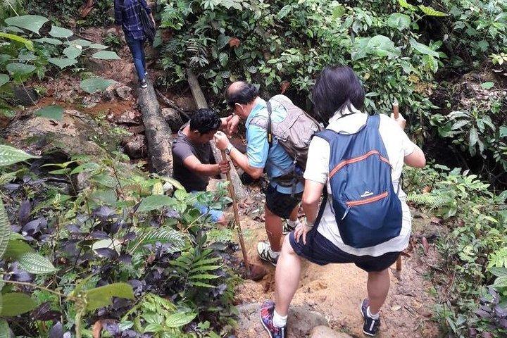 Medan - Bukit Lawang Fullday Tour
