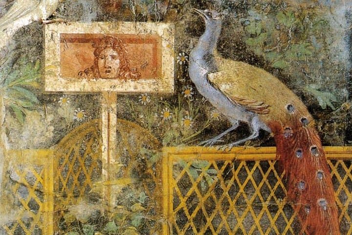 The Complete Tour of the Archeological Museum of Naples with a Native Guide