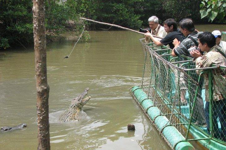 Can Gio Mangrove Biosphere Reserve 1 day