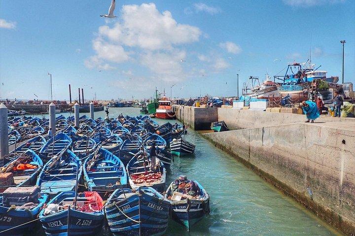 Shared Group Day Trip from Marrakech to Essaouira