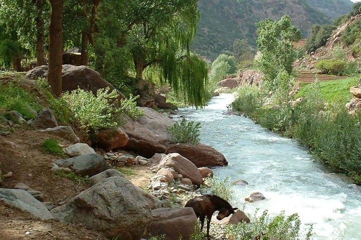Shared Group Day trip from Marrakech to Ourika Valley