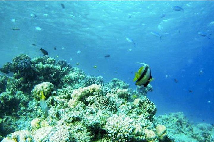 Dahab: Blue Hole Snorkeling, Quad Bike, Colored Canyon