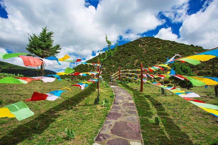 1-Day Shangri-La Private Tour: Potatso National Park and Baiji Temple