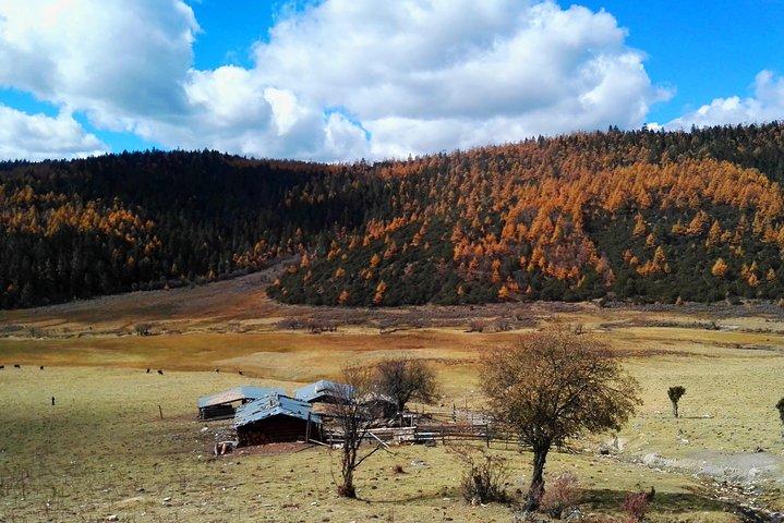 1-Day Shangri-La Private Tour: Potatso National Park and Baiji Temple