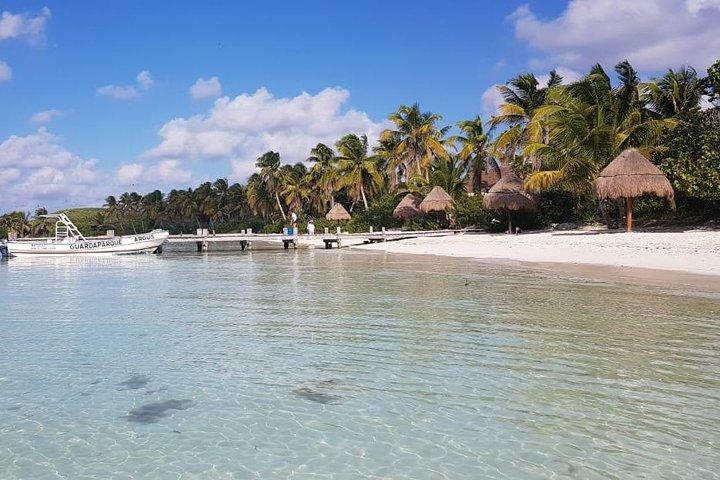 Contoy Island
