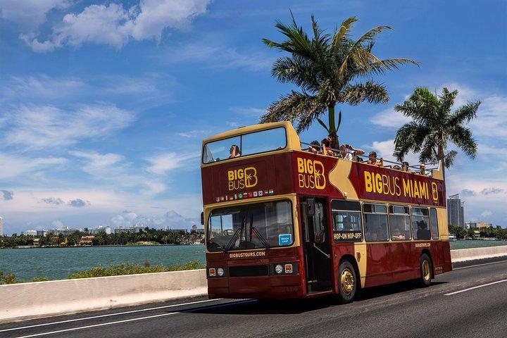 Miami: Hop-on Hop-off Sightseeing Tour with Cruise Option
