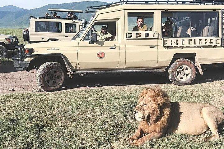 Jambo Jambo 3 Days Safari