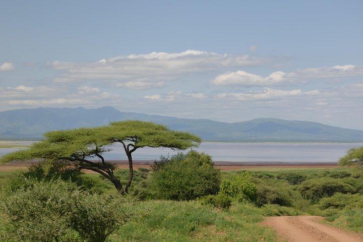 Jambo Jambo 3 Days Safari