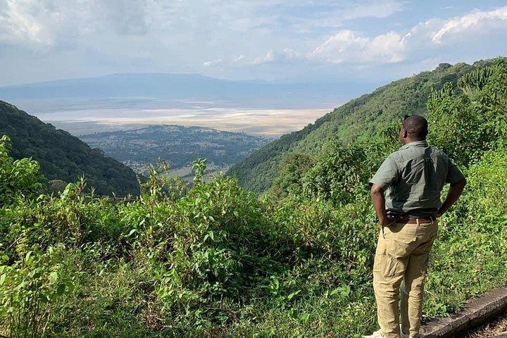 Jambo Jambo camping 3 Days Safari