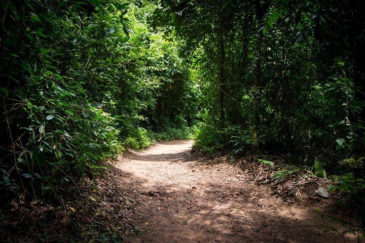Afternoon Cu Chi Tunnels - Small Group Half-Day Tour