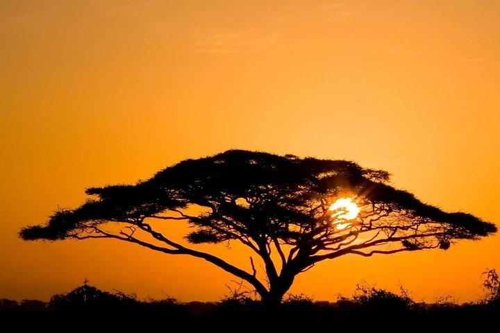 4 Days Masai Mara and Lake Nakuru