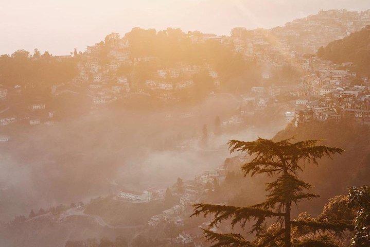 Landour Infinity Walk - A Guided Walking Tour Of Landour