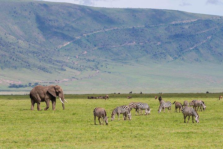 4-day Tanzania Safari