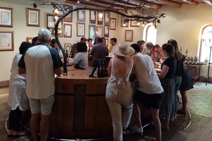 Full-Day Private Guided Wine Tasting Tour of Cape Wineries