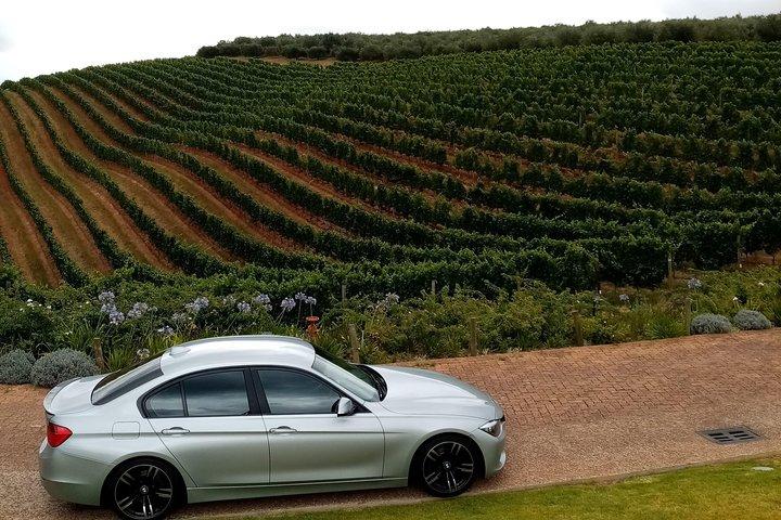 Full-Day Private Guided Wine Tasting Tour of Cape Wineries