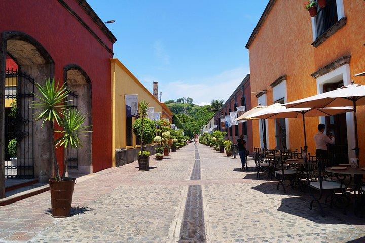 Guachimontones Archaeological Site & Tequila Town PRIVATE TOUR
