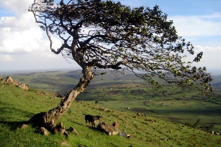 Nairobi: Ngong Hills Hiking & Zipline Adventure Day Tour