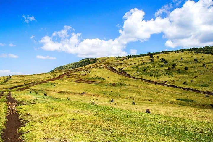 Nairobi: Ngong Hills Hiking & Zipline Adventure Day Tour