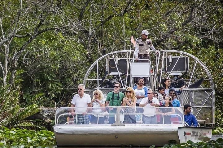 Private Everglades Tour: Airboat & Alligator Habitat Experience
