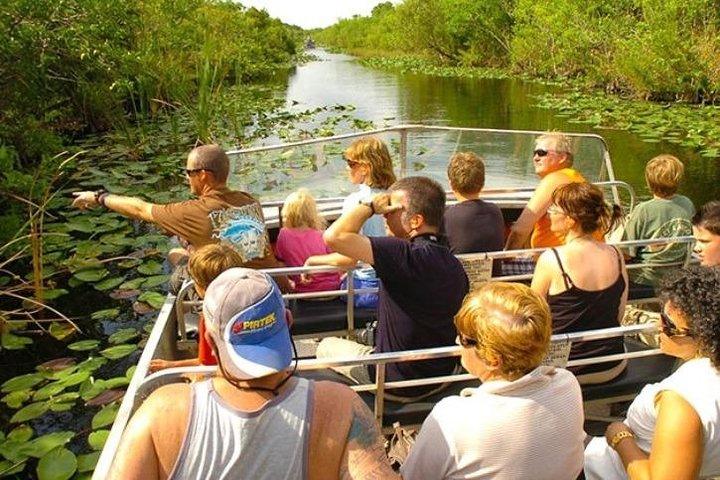 Private Everglades Tour: Airboat & Alligator Habitat Experience