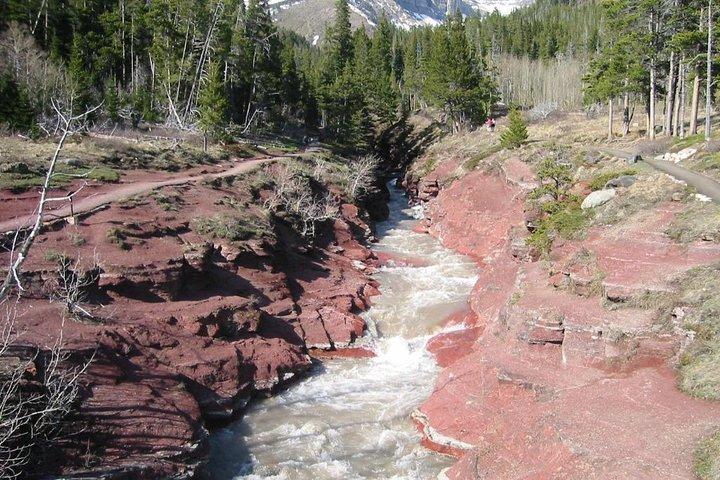 Waterton Lakes National Park Scenic Day Tour from Calgary