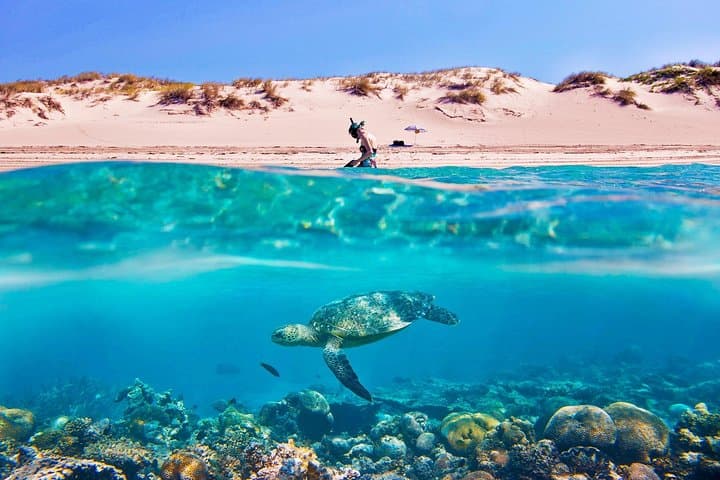 Special Snorkeling Day Trip to the Red Sea in Safaga from Luxor