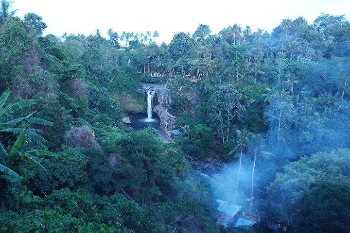 Costumize Ubud Traditional Village & Sightseeing Day Trip