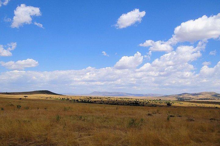 5 Days of Pure Adventure: Maasai Mara, Lake Nakuru & Hell’s Gate