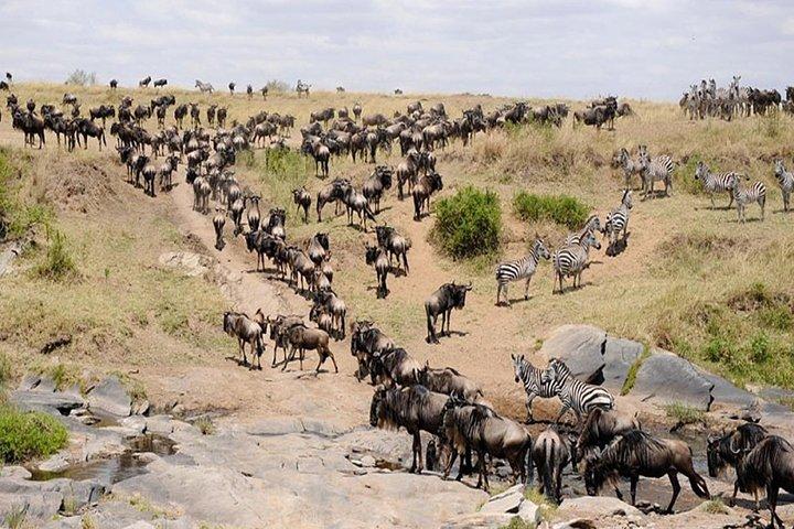 5 Days of Pure Adventure: Maasai Mara, Lake Nakuru & Hell’s Gate