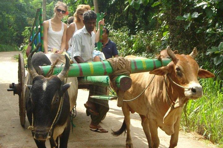 3 Days Glimpse of Sri Lanka