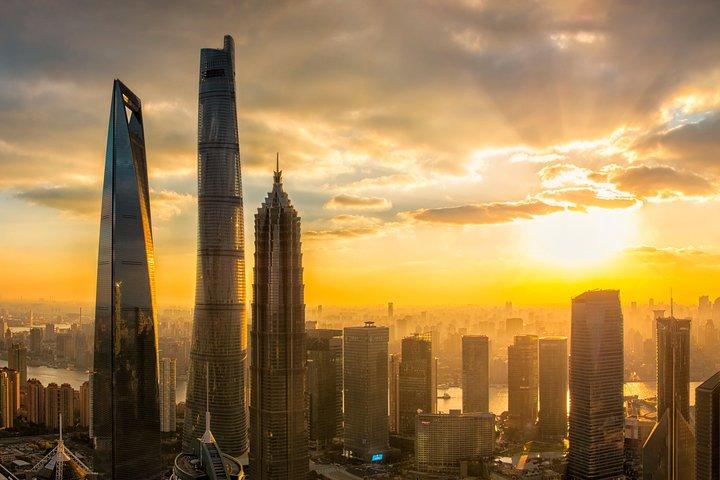Private Tour with Shanghai Tower, Shanghai Zoo and Nanjing Road plus Xiaolongbao