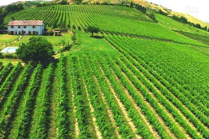 Under the Tuscan Sun Tour from Rome-Cortona & Montepulciano 1 day
