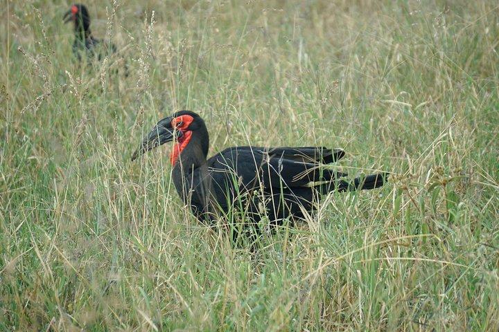 Tarangire National Park