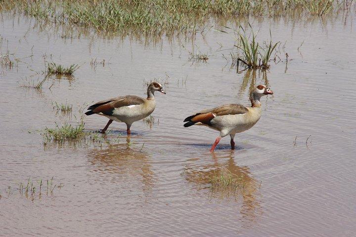 Lake Manyara National Park