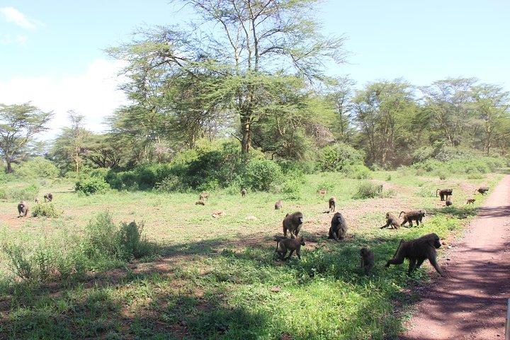 Lake Manyara National Park