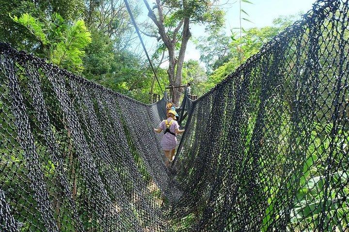 Phuket Zipline Adventure Tour